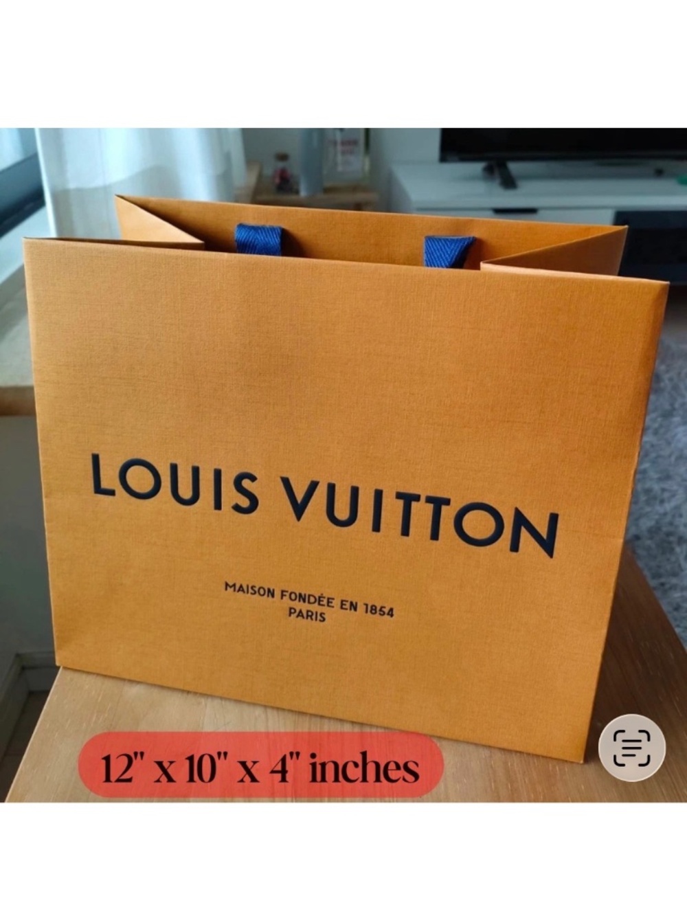 Louis Vuitton Shopping Bags 10